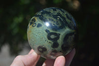 Polished Stromatolite / Kambamba Jasper Spheres  x 4 From Madagascar - Toprock Gemstones and Minerals 