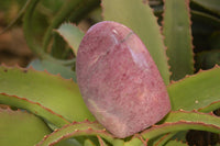 Polished  Pink & Black Rhodonite Standing Free Forms x 2 From Madagascar