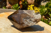 Natural Large Smokey Quartz Crystal With Polished Termination  x 1 From Melanje, Malawi - TopRock