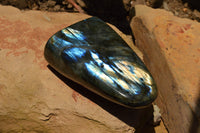 Polished Labradorite Standing Free Forms With Intense Blue & Gold Flash x 3 From Tulear, Madagascar - TopRock