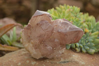 Natural Red Hematoid Quartz Specimens x 3 From Karoi, Zimbabwe - TopRock