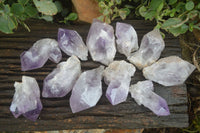 Natural Single Jacaranda Amethyst Crystals  x 12 From Zambia - Toprock Gemstones and Minerals 