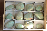 Polished Affordable Kobi Blue Amazonite Free Forms  x 12 From Zimbabwe - TopRock