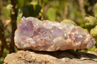 Natural Jacaranda Amethyst Quartz Cluster  x 1 From Mumbwe, Zambia - TopRock