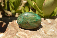 Polished Green Verdite Palm Stones  x 12 From Zimbabwe - TopRock