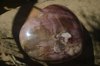 Polished Petrified Red Podocarpus Wood Heart x 1 From Madagascar - Toprock Gemstones and Minerals 