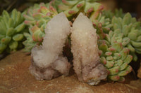 Natural White Fairy Spirit Quartz Clusters x 12 From Boekenhouthoek, South Africa