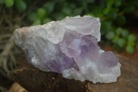 Natural Jacaranda Amethyst Clusters  x 3 From Zambia - Toprock Gemstones and Minerals 