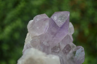 Natural Jacaranda Amethyst Clusters  x 3 From Zambia - Toprock Gemstones and Minerals 