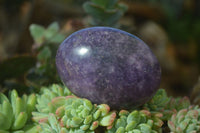 Polished Large Lepidolite Palm Stones  x 6 From Zimbabwe