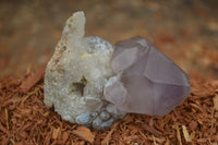 Natural Window Amethyst Quartz Crystals  x 12 From Ambatondrazaka, Madagascar - Toprock Gemstones and Minerals 