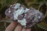 Natural Pink Salrose Cobaltion Dolomite Specimens  x 2 From Kakanda, Congo