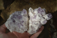 Natural Sugar Amethyst Clusters  x 4 From Zambia