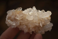 Natural Clear Quartz Crystal Clusters  x 24 From Madagascar