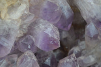 Natural Jacaranda Amethyst Cluster x 1 From Mumbwa, Zambia - TopRock