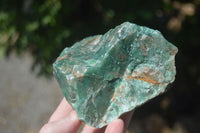 Natural Rough Green Jade Specimens  x 12 From Swaziland - Toprock Gemstones and Minerals 