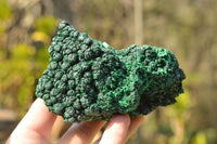 Natural Chatoyant Silky Malachite Specimens  x 5 From Kasompe, Congo - TopRock