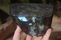 Polished Flashy Labradorite Standing Free Form  x 1 From Tulear, Madagascar