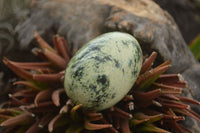 Polished Leopard Stone Eggs  x 12 From Zimbabwe - TopRock