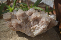 Natural Smokey Phantom Quartz Cluster x 1 From Luena, Congo