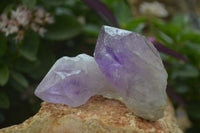 Natural Single Jacaranda Amethyst Crystals x 12 From Mumbwe, Zambia