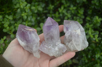 Natural Single Jacaranda Amethyst Crystals  x 12 From Zambia - Toprock Gemstones and Minerals 