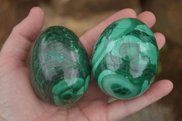 Polished Large Flower Malachite Eggs  x 2 From Congo - TopRock