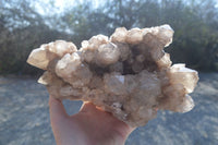 Natural Smokey Phantom Quartz Cluster x 1 From Luena, Congo