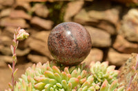 Polished Matrix Pyrope Garnet Spheres  x 3 From Madagascar - TopRock