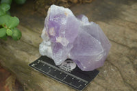 Natural Large Single Amethyst Crystals  x 3 From Mapatizya, Zambia - Toprock Gemstones and Minerals 