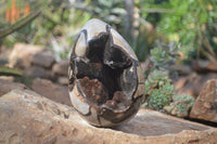 Polished Septerye Sauvage Dragons Egg Geode x 1 From Mahajanga, Madagascar