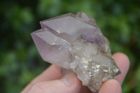 Natural Window Amethyst Quartz Crystals  x 12 From Ambatondrazaka, Madagascar - Toprock Gemstones and Minerals 