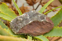 Natural Drusy Dolomite With Malachite On Hematite Matrix  x 4 From Kakanda, Congo - TopRock