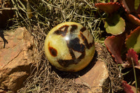 Polished Septarian (Calcite & Aragonite) Spheres  x 6 From Mahajanga, Madagascar - TopRock