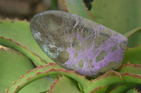 Polished Purple Stichtite Standing Free Forms x 6 From Barberton, South Africa