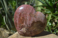 Polished Petrified Red Podocarpus Wood Heart x 1 From Madagascar - Toprock Gemstones and Minerals 