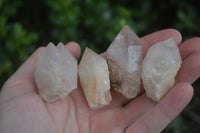 Natural Single Pineapple Candle Quartz Crystals  x 35 From Antsirabe, Madagascar - Toprock Gemstones and Minerals 