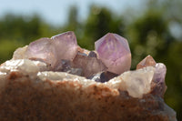 Natural Jacaranda Amethyst Quartz Cluster  x 1 From Mumbwe, Zambia - TopRock