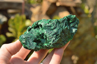 Natural Chatoyant Silky Malachite Specimens  x 5 From Kasompe, Congo - TopRock