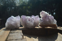 Natural Jacaranda Amethyst Clusters  x 3 From Zambia - Toprock Gemstones and Minerals 