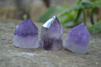 Polished Dream and Other Amethyst Points x 24 From Madagascar