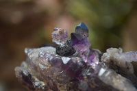 Natural Hand Made Chiredzi Amethyst Conglomerate Specimens x 6 From Chiredzi, Zimbabwe