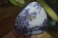 Polished Purple Lepidolite Free Forms  x 6 From Zimbabwe - Toprock Gemstones and Minerals 