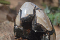 Polished Septerye Sauvage Dragons Egg Geode x 1 From Mahajanga, Madagascar