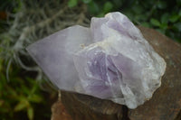 Natural Large Single Amethyst Crystals  x 3 From Mapatizya, Zambia - Toprock Gemstones and Minerals 