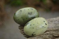 Polished Leopard Stone Eggs  x 12 From Zimbabwe - TopRock