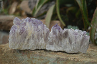 Natural Sugar Amethyst Clusters  x 4 From Zambia