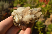 Natural Rare Hollow "Snow" Quartz Specimens (Some With Dog Tooth Calcite Crystals) x 24 From Albert Mountain, Lesotho - TopRock