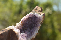 Natural Dark Amethyst Geodes In Basalt  x 2 From Zululand, South Africa - TopRock