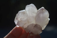 Natural Window Amethyst Quartz Crystals  x 12 From Ambatondrazaka, Madagascar - Toprock Gemstones and Minerals 